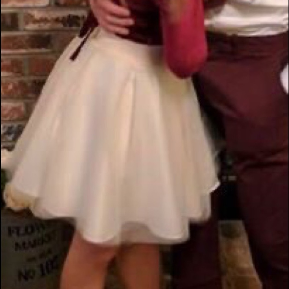 Tulle Skirt